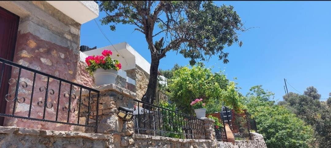 Villa Sarichel Nikithianos Ngoại thất bức ảnh